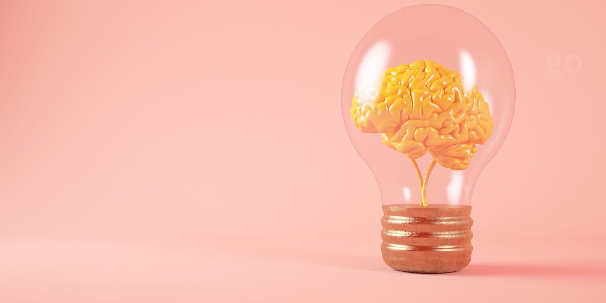 Best Nootropic Supplements for Focus, Memory & Mental Energy